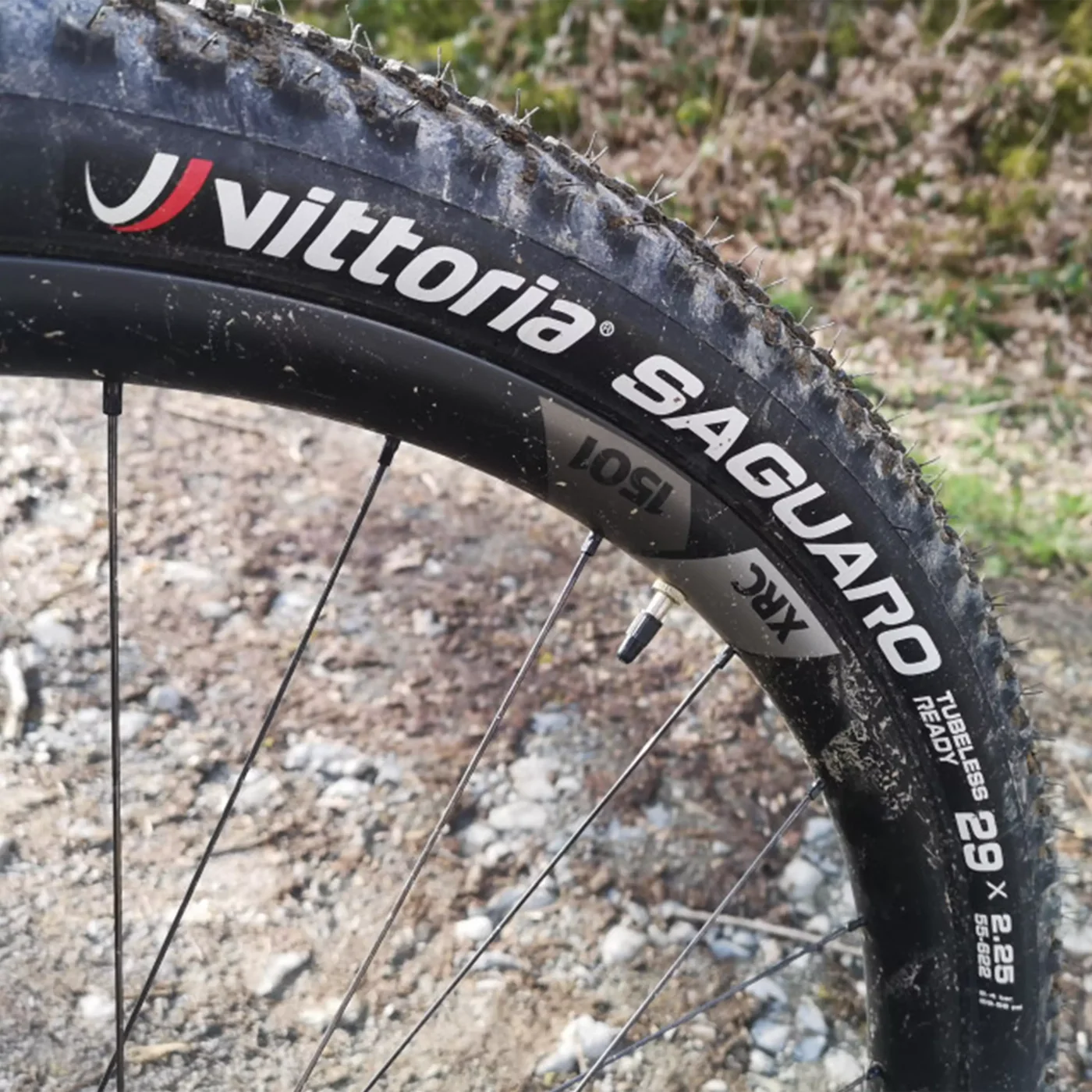 Велосипедная покрышка Vittoria Saguaro XC 55-622 (29x2.25), TLR, складная